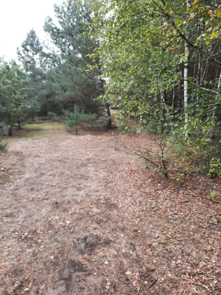 Apartamenty 43193/3186/OGS Lubaty