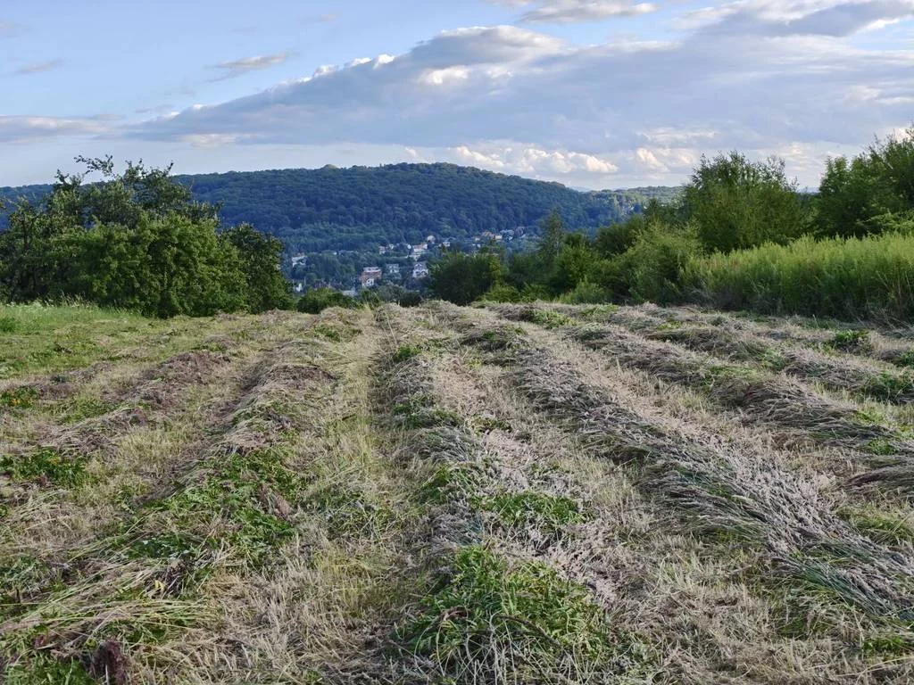 Działka 4 200,00 m², oferta nr , 42848/3186/OGS, Kraków, Bronowice, Mydlniki, mjr. Łupaszki