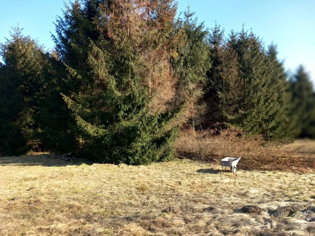 Apartamenty 42722/3186/OGS Mników
