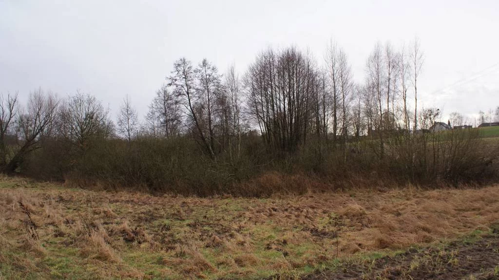 Działka 8 312,00 m², oferta nr , 42785/3186/OGS, Mościska