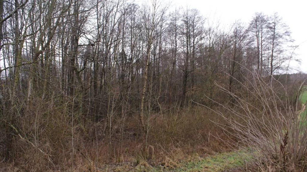 Działka 8 312,00 m², oferta nr , 42785/3186/OGS, Mościska