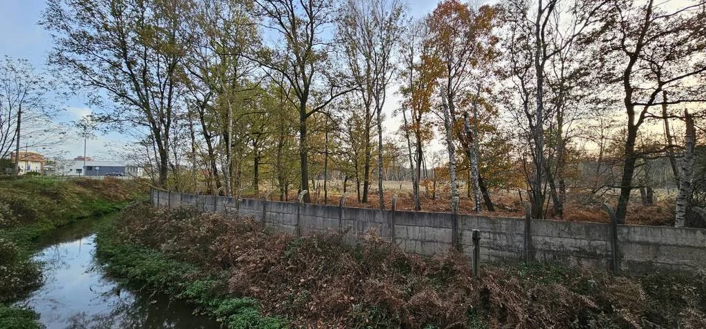 Działka 90 561,00 m², oferta nr , 43046/3186/OGS, Kędzierzyn-Koźle, Mostowa