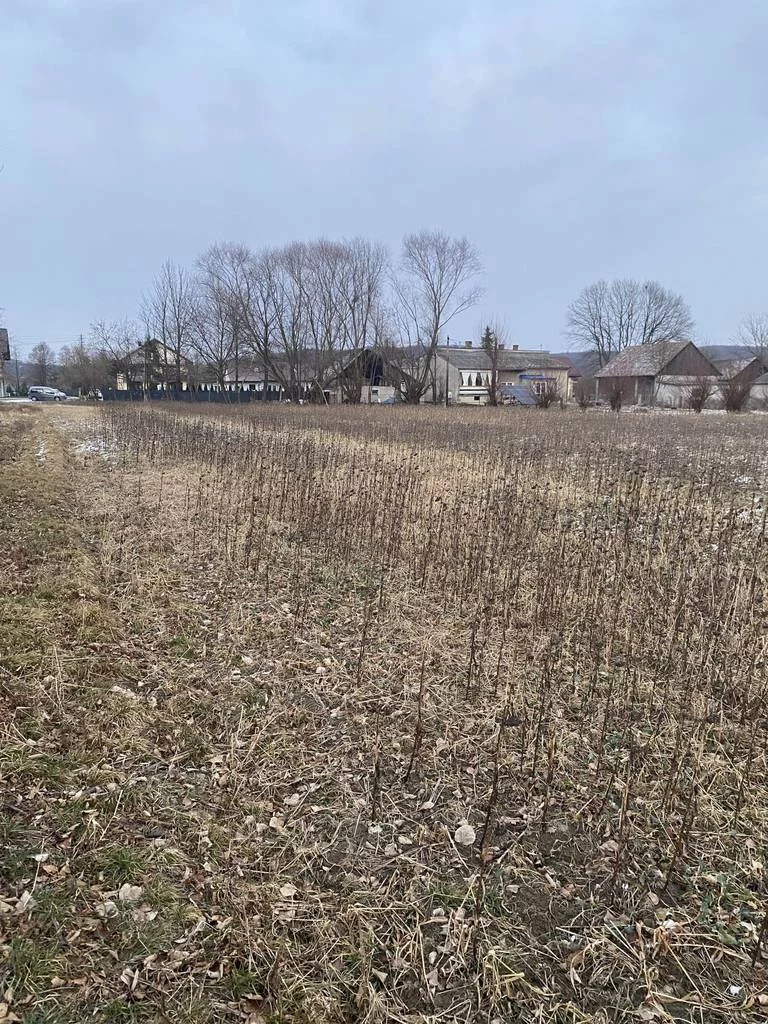 Działka 5 500,00 m², Ryczów, Nadwiślańska, Sprzedaż