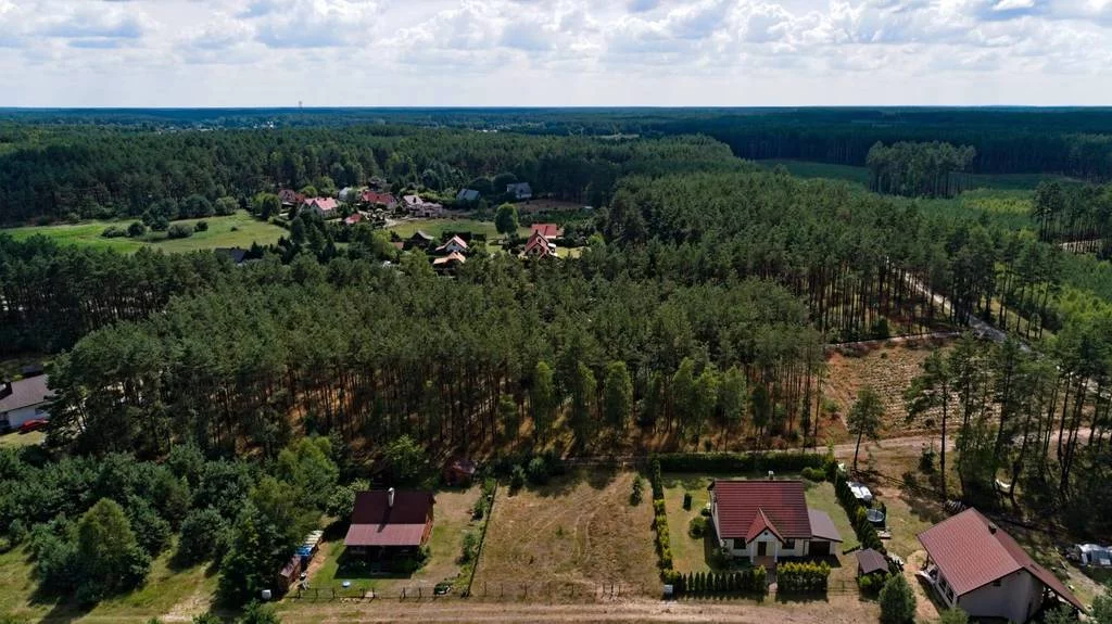 42445/3186/OGS - zdjęcie nr 0