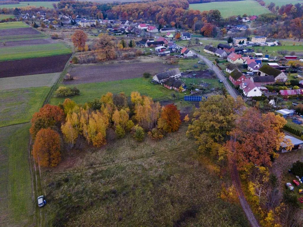 40595/3186/OGS - zdjęcie nr 3