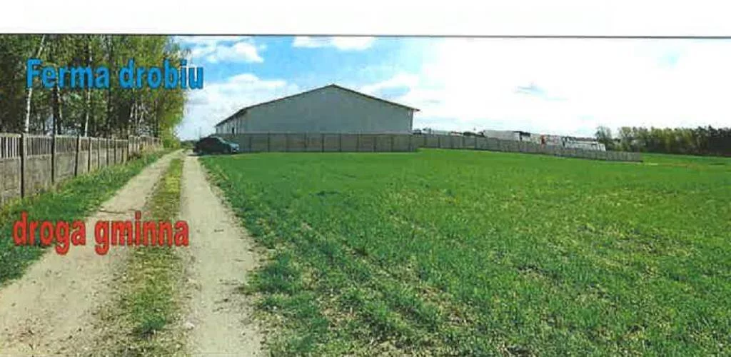 Działka 14 900,00 m², oferta nr , 43061/3186/OGS, Pawłów Trzebnicki