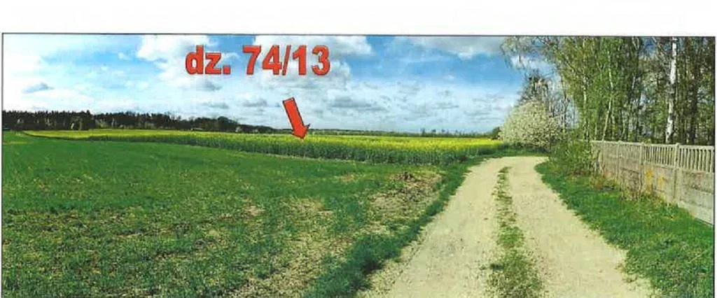Działka 14 900,00 m², oferta nr , 43061/3186/OGS, Pawłów Trzebnicki