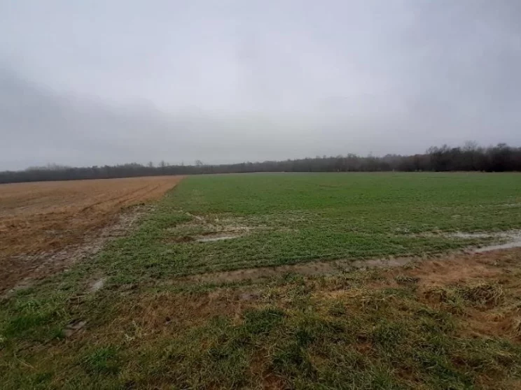 Apartamenty 42681/3186/OGS Pęplino