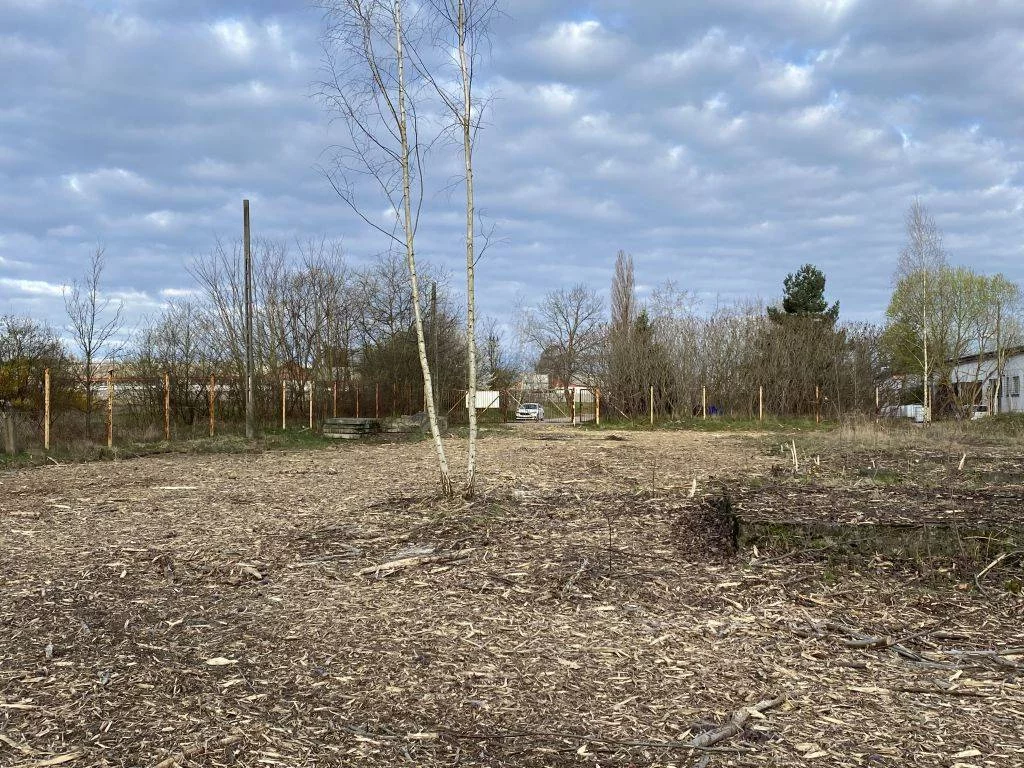 Działka 6 260,00 m², oferta nr , 43052/3186/OGS, Rzeczyce, Piaskowa