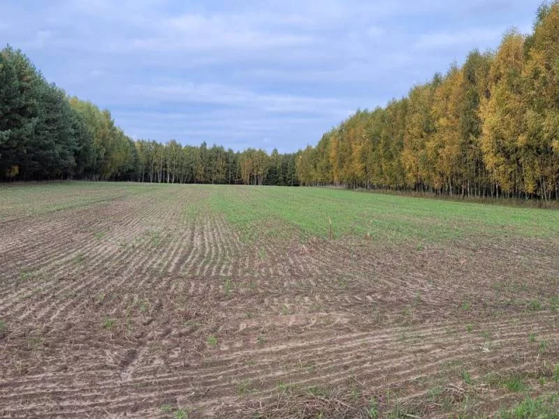 Działka 29 741,00 m², Pichlice, Sprzedaż