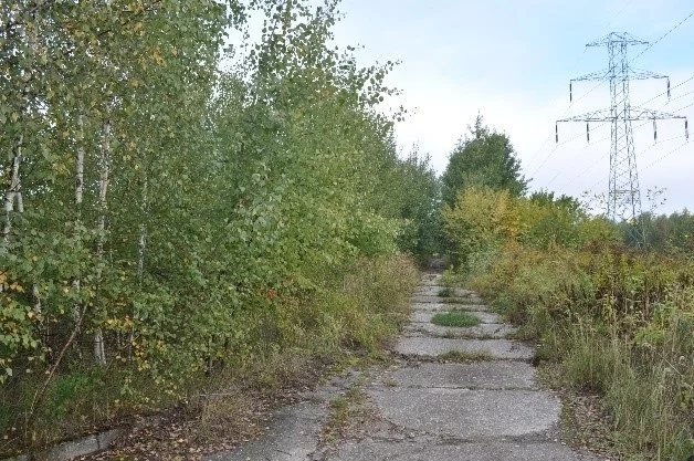 Działka 169 761,00 m², oferta nr , 42894/3186/OGS, Zgierz, Pieńki