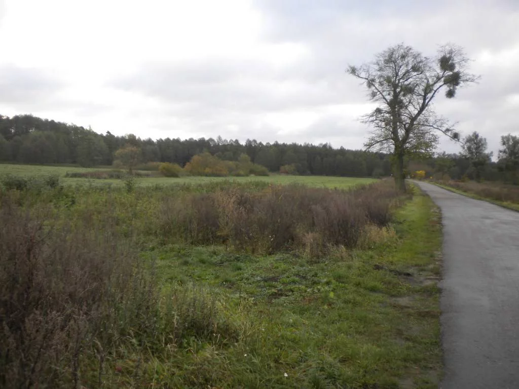 Działka 95 000,00 m², oferta nr , 2477/3186/OGW, Piła