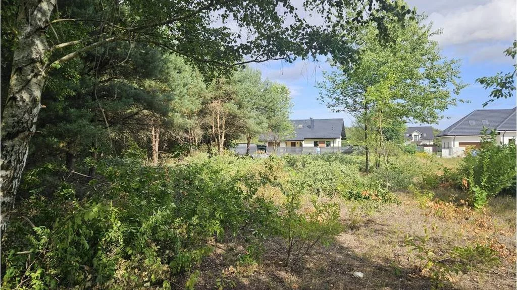 Apartamenty 42786/3186/OGS Stara Wieś Piniowa