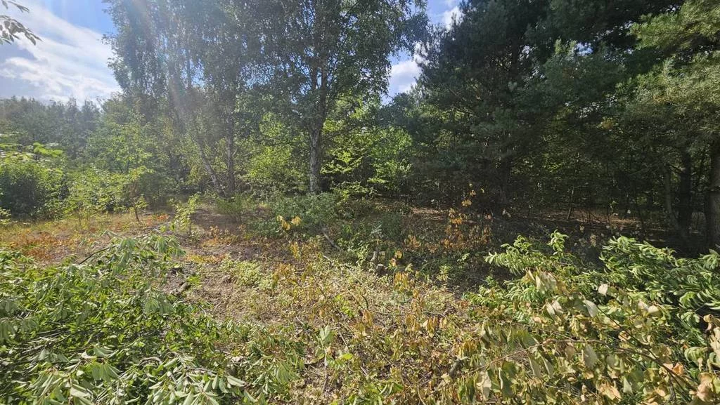 Działka 1 000,00 m², oferta nr , 42786/3186/OGS, Stara Wieś, Piniowa
