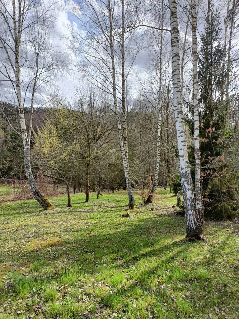 Apartamenty 42333/3186/OGS Podchybie
