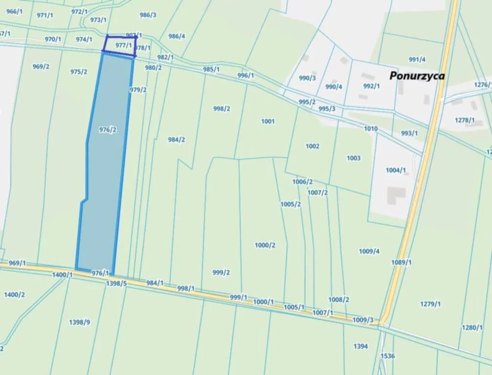 Działka 14 000,00 m², Ponurzyca, Sprzedaż