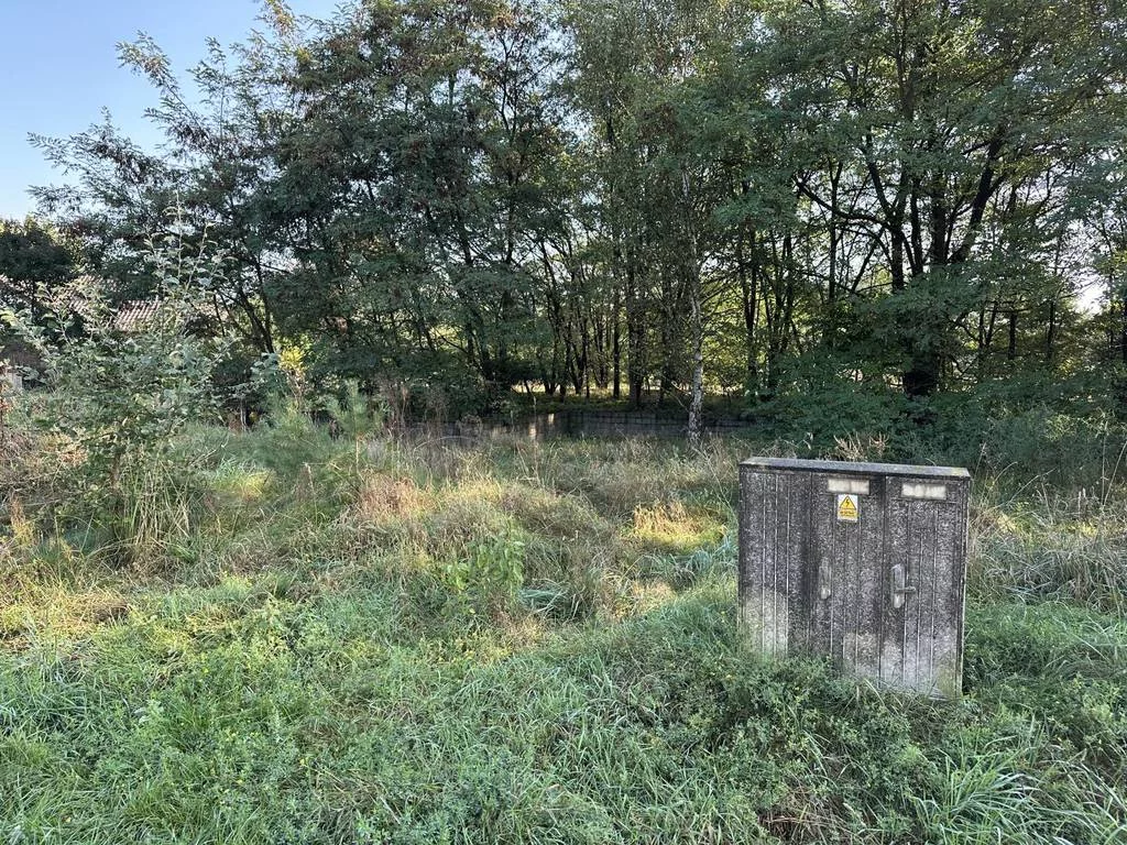 Działka 4 783,00 m², oferta nr , 43084/3186/OGS, Daszewice, Poznańska