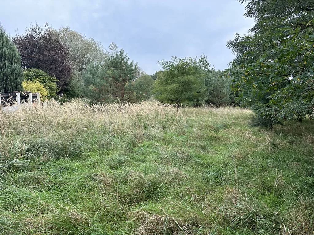 Działka 4 783,00 m², oferta nr , 43084/3186/OGS, Daszewice, Poznańska