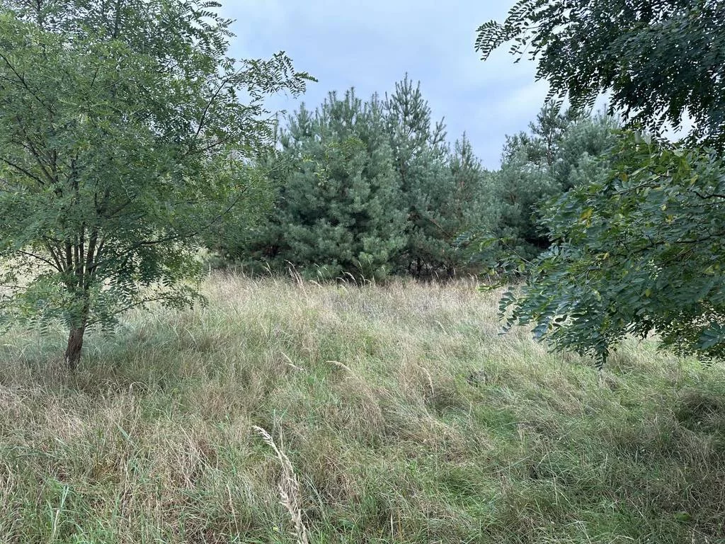Działka 4 783,00 m², oferta nr , 43084/3186/OGS, Daszewice, Poznańska