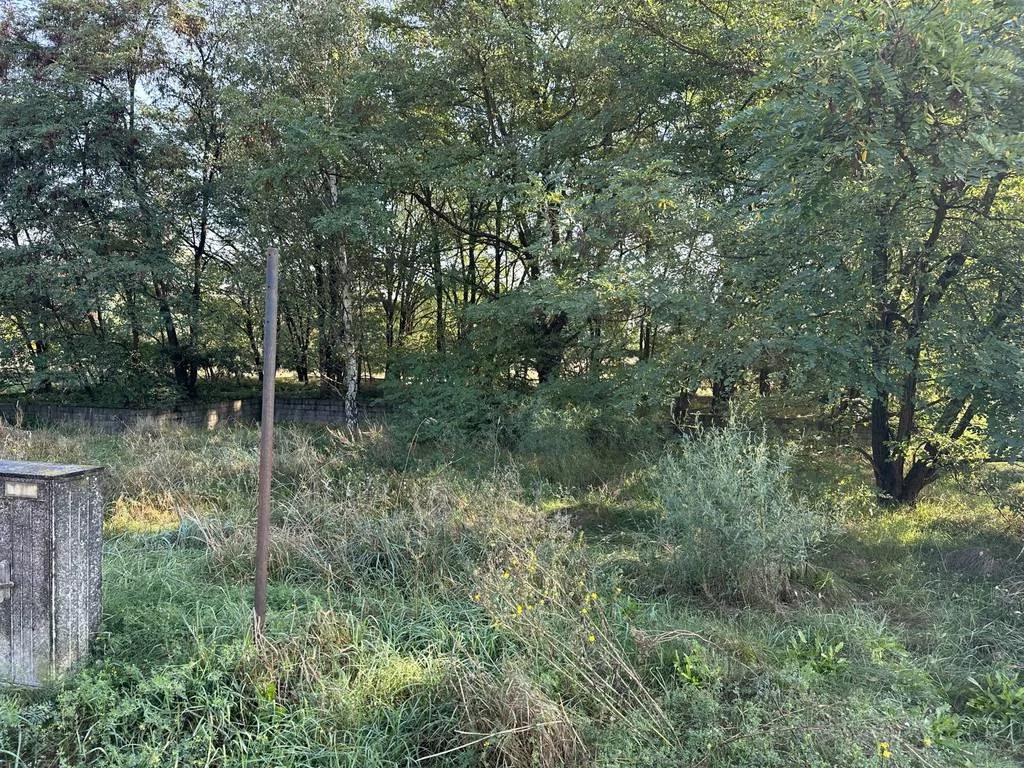 Działka 4 783,00 m², oferta nr , 43084/3186/OGS, Daszewice, Poznańska