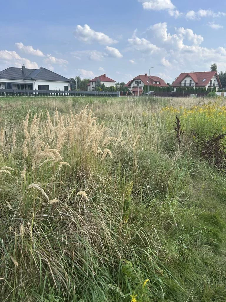 Działka 975,00 m², oferta nr , 42846/3186/OGS, Rusiec, Promienista