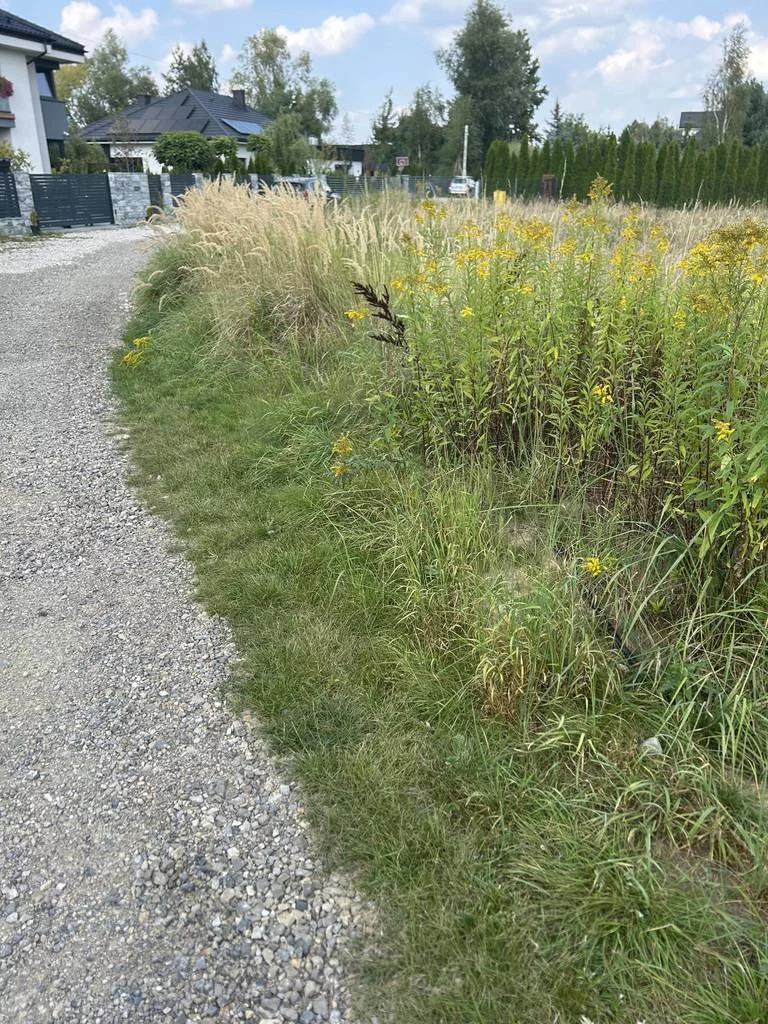 Działka 975,00 m², oferta nr , 42846/3186/OGS, Rusiec, Promienista