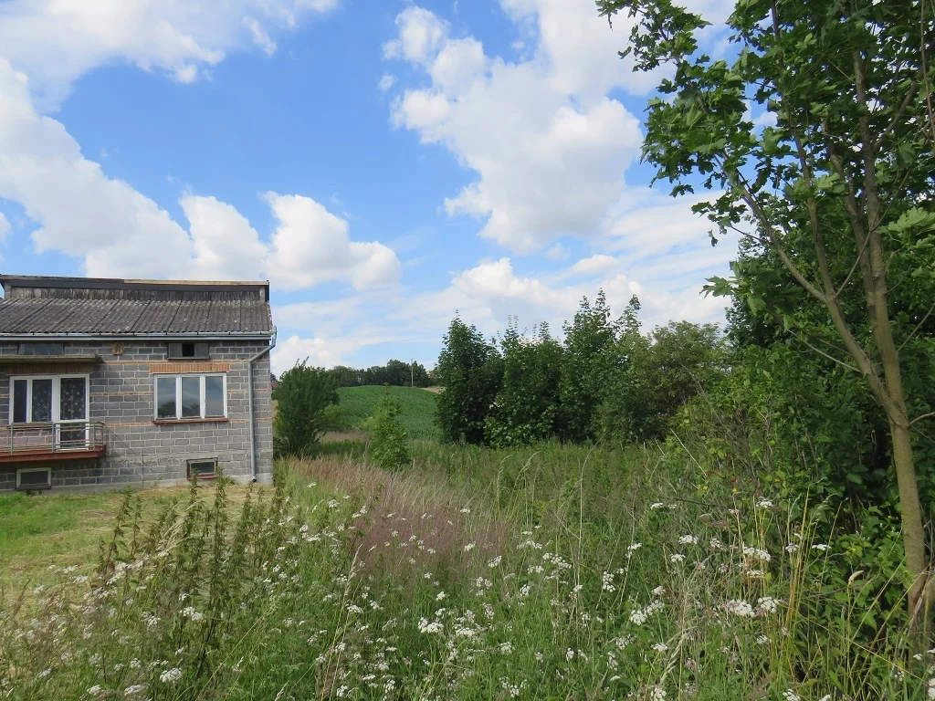 Działka 1 566,00 m², Proszowice, Sprzedaż