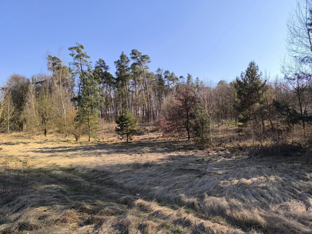 Działka 3 024,00 m², oferta nr , 42988/3186/OGS, Szczecin, Pyrzycka