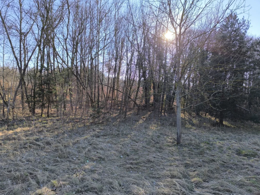 Działka 3 024,00 m², oferta nr , 42988/3186/OGS, Szczecin, Pyrzycka