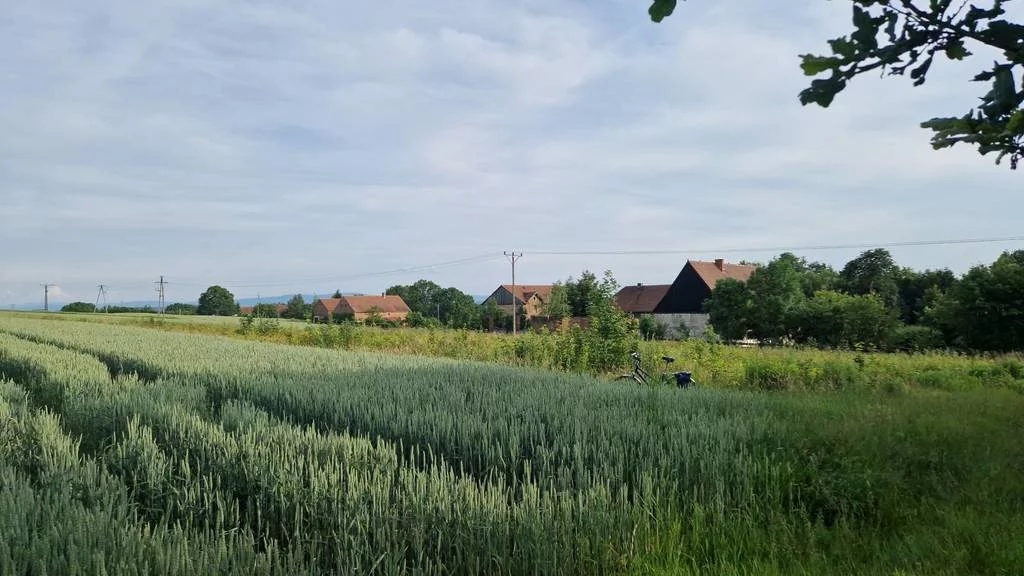 Apartamenty 41837/3186/OGS Siekierczyn