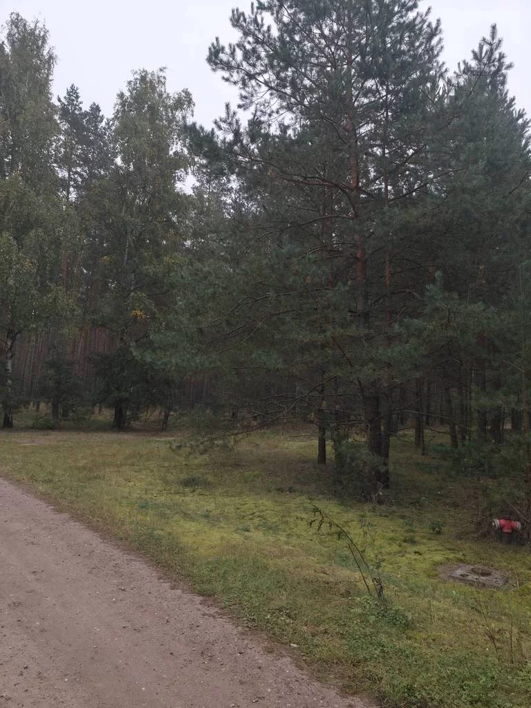 Apartamenty 43158/3186/OGS Słończ