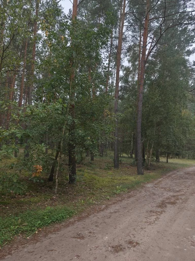 Działka 3 001,00 m², oferta nr , 43158/3186/OGS, Słończ