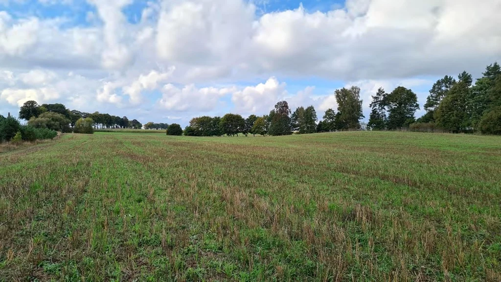Działka 1 127,00 m², oferta nr , 43229/3186/OGS, Stary Wiec