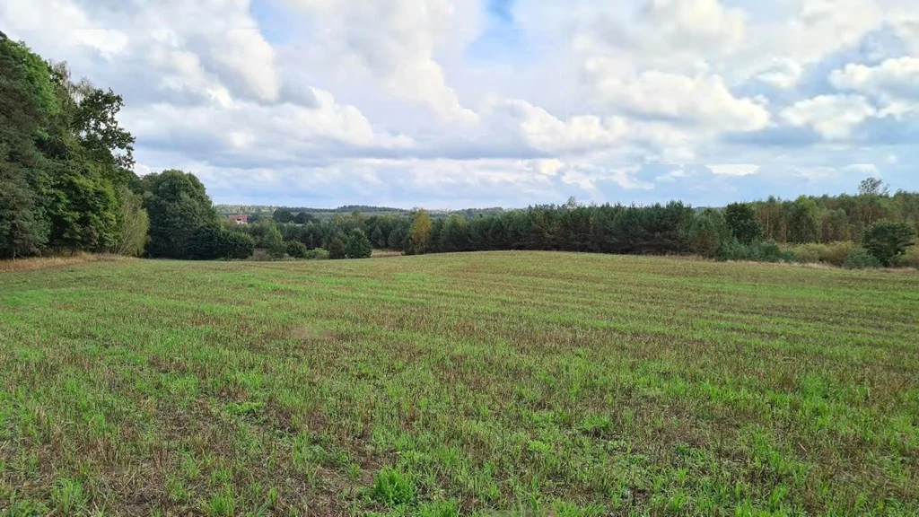 Działka 1 127,00 m², oferta nr , 43229/3186/OGS, Stary Wiec