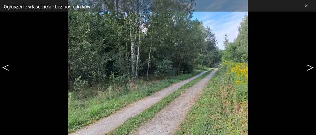 42650/3186/OGS - zdjęcie nr 1