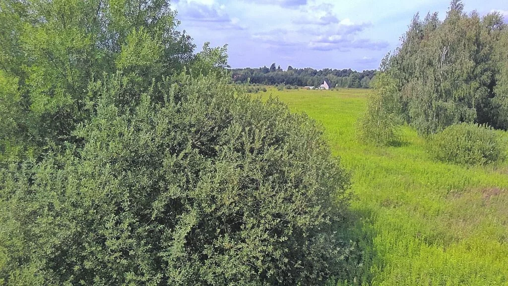 Działka 3 270,00 m², oferta nr , 43162/3186/OGS, Stradomia Wierzchnia
