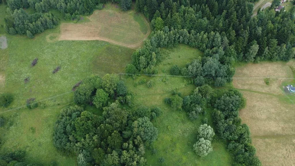 Działka 34 500,00 m², oferta nr , 42864/3186/OGS, Szczawa