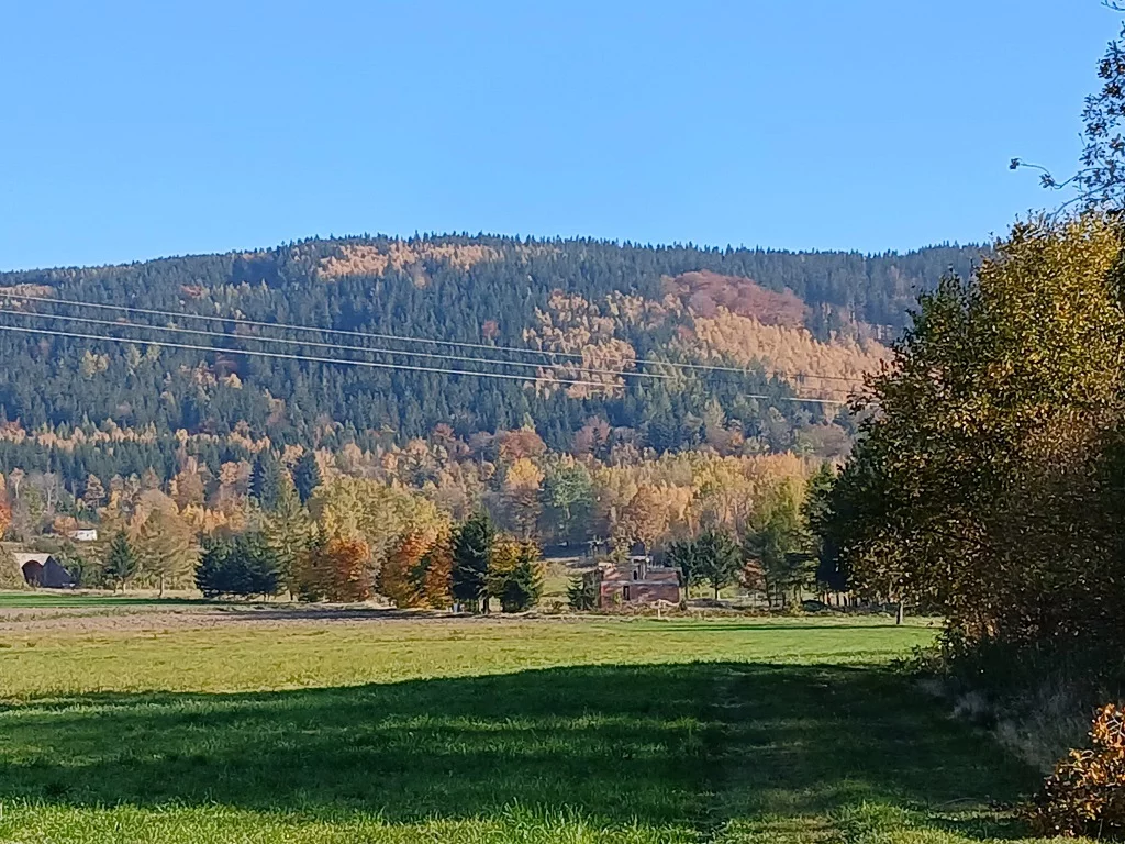 Działka 4 732,00 m², Kowary, Tadeusza Rejtana, Sprzedaż