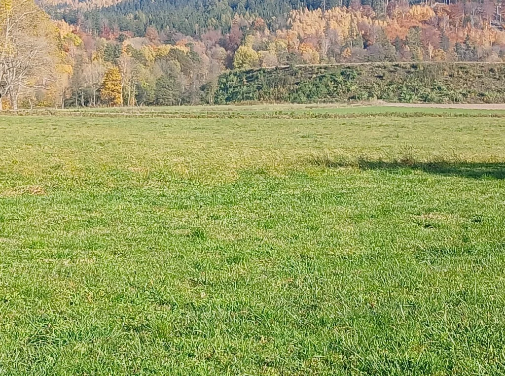 Działka 4 732,00 m², oferta nr , 42860/3186/OGS, Kowary, Tadeusza Rejtana