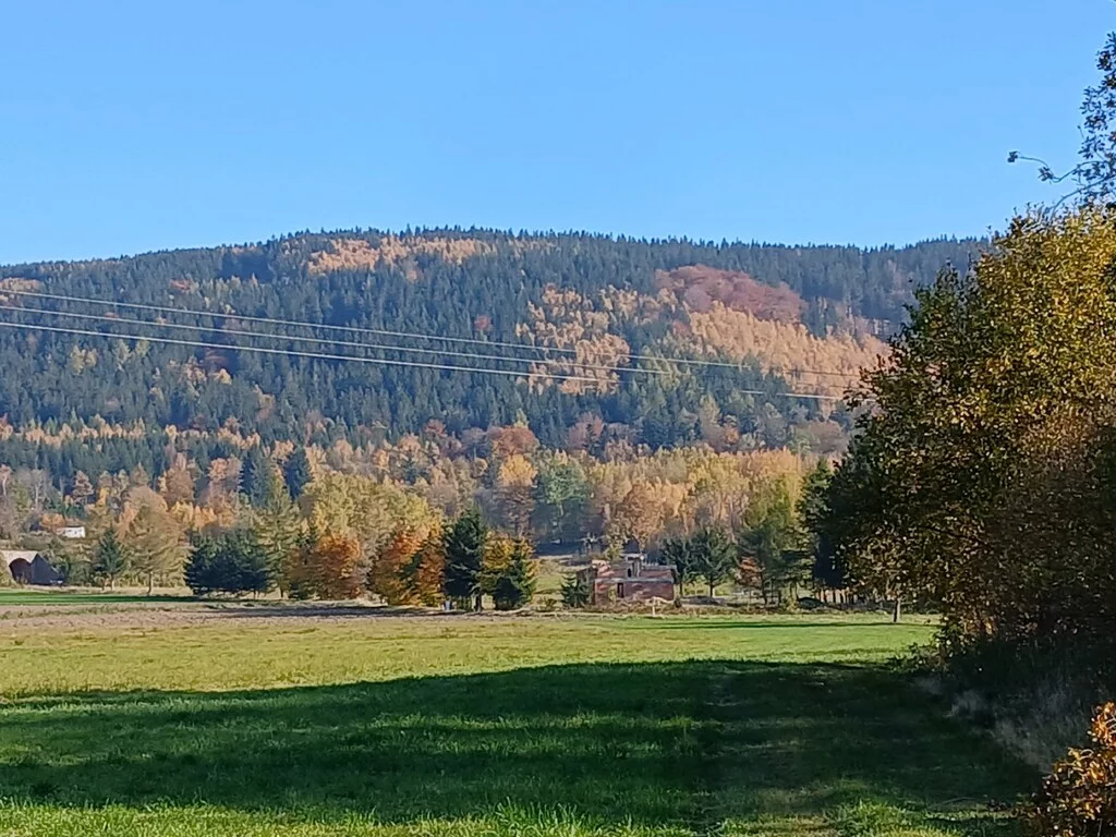 Działka 4 732,00 m², oferta nr , 42860/3186/OGS, Kowary, Tadeusza Rejtana