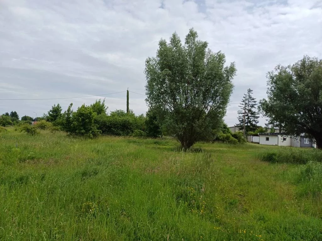Działka 17 613,00 m², oferta nr , 42766/3186/OGS, Malbork, Toruńska