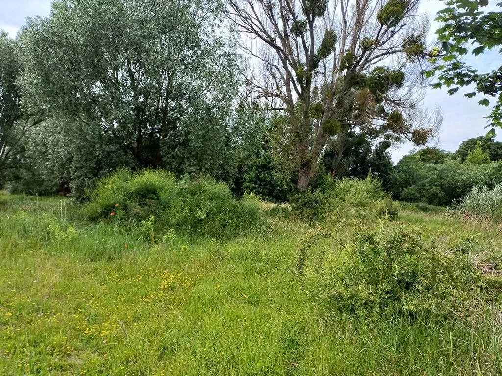 Działka 17 613,00 m², oferta nr , 42766/3186/OGS, Malbork, Toruńska