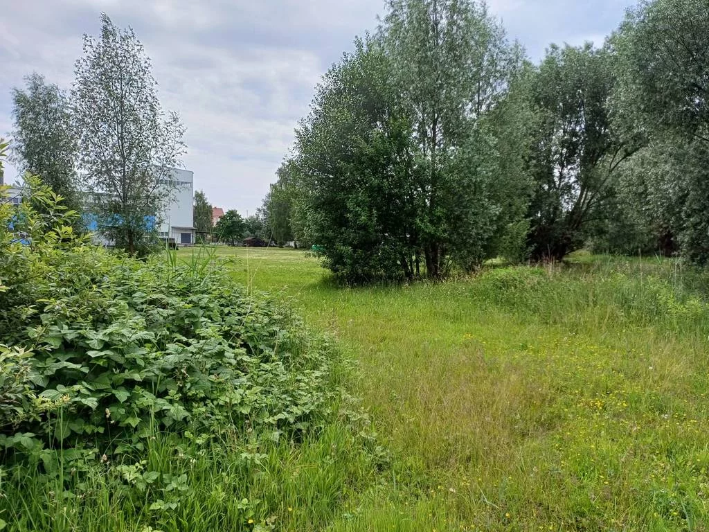 Działka 17 613,00 m², oferta nr , 42766/3186/OGS, Malbork, Toruńska