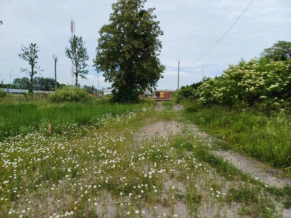 Działka 3 000,00 m², oferta nr , 42985/3186/OGS, Malbork, Toruńska