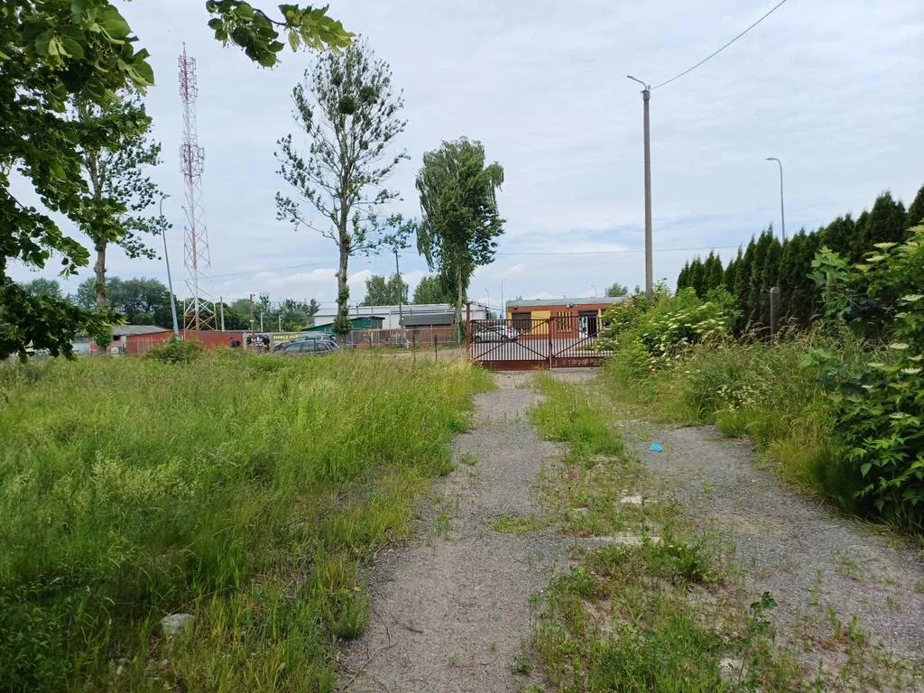 Działka 3 000,00 m², oferta nr , 42985/3186/OGS, Malbork, Toruńska