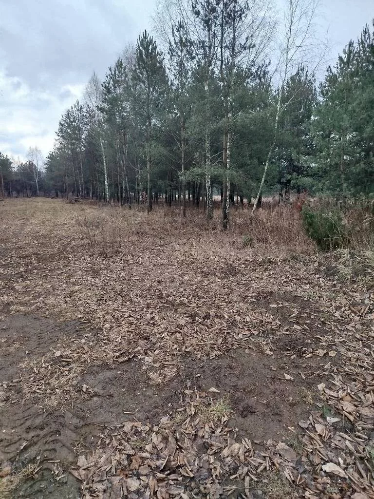42383/3186/OGS - zdjęcie nr 0