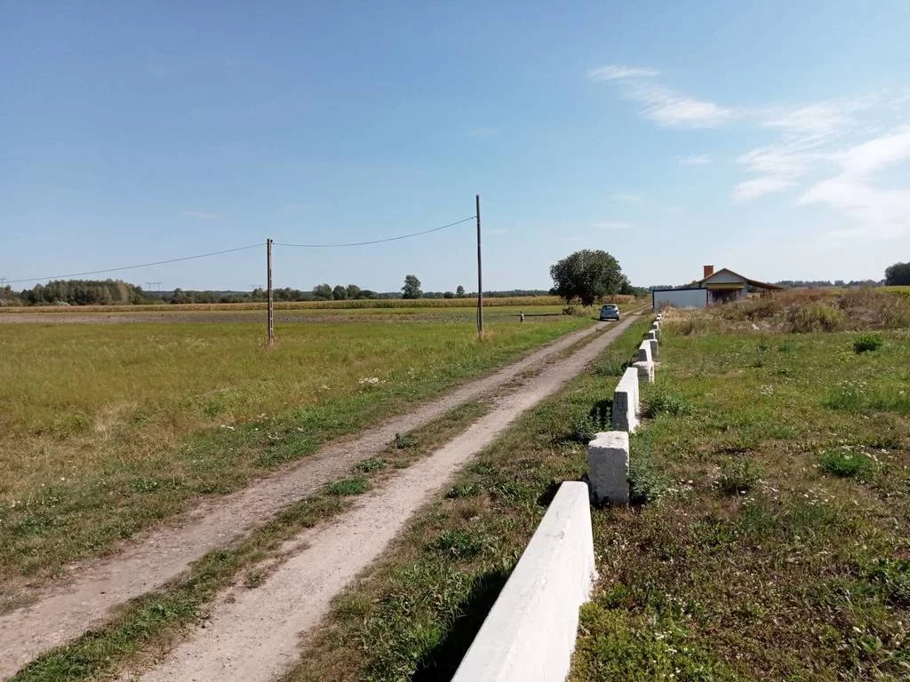 Działka 17 300,00 m², oferta nr , 42847/3186/OGS, Wiązownica