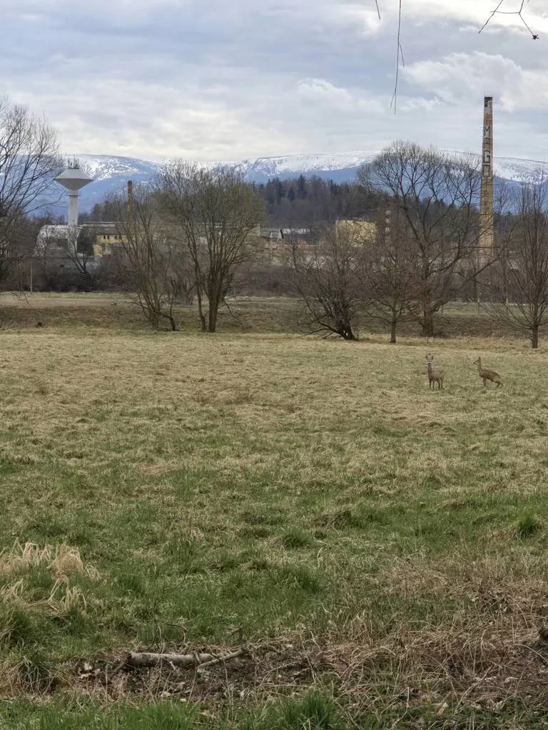 Apartamenty 43242/3186/OGS Jelenia Góra Wiejska