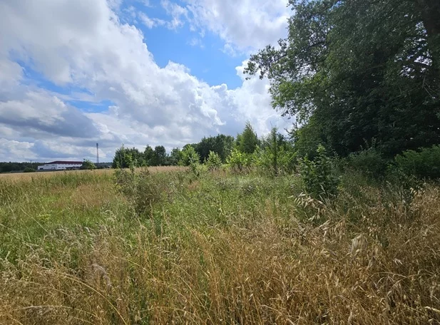 Apartamenty 42854/3186/OGS Wiklino
