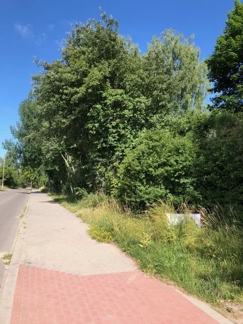 42326/3186/OGS - zdjęcie nr 1